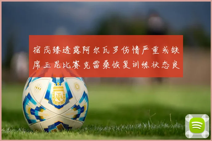 宿茂臻透露阿尔瓦罗伤情严重或缺席玉昆比赛克雷桑恢复训练状态良好