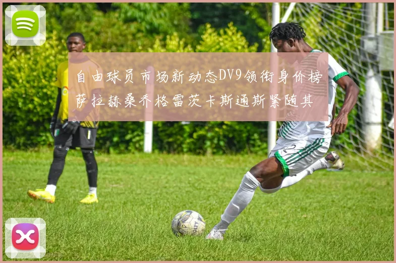 自由球员市场新动态DV9领衔身价榜萨拉赫桑乔格雷茨卡斯通斯紧随其后