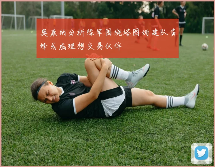 奥康纳分析绿军围绕塔图姆建队黄蜂或成理想交易伙伴